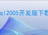 sql2005开发版下载