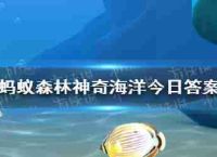 奇特的海洋豹海豹回答豹海豹在5月19日,主要吃什么是5.19
