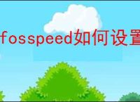 cfosspeed如何设置?