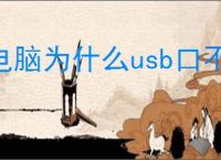 电脑为什么usb口不能用