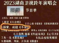 湖南卫视2023年《新年晚会节目的湖南卫视在2022 - 2023年新年晚会节目
