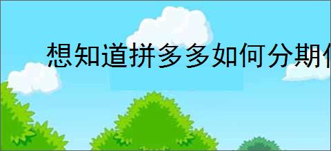 想知道拼多多如何分期付款买手机？教你申请分期贷款！