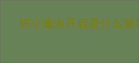 拼小圈未开启是什么意思？怎样确保信息不被他人查看？