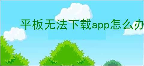 平板无法下载app怎么办