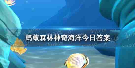 奇特海洋9月14日答案 海带属于什么藻类