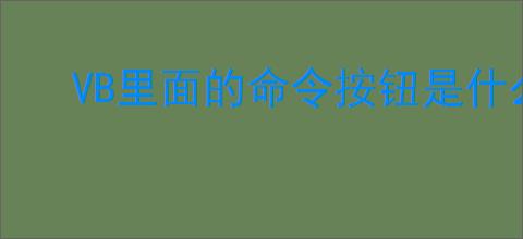 VB里面的命令按钮是什么?