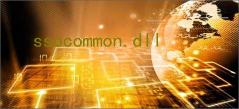 ssocommon.dll