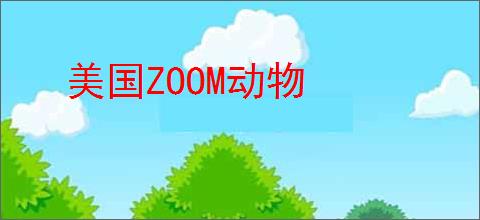 美国ZOOM动物