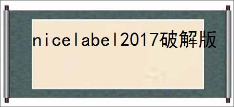 nicelabel2017破解版