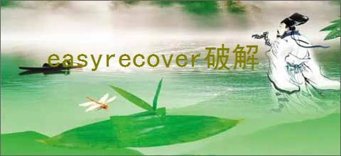 easyrecover破解