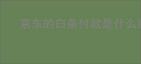 京东的白条付款是什么意思？白条付款的优势与体验