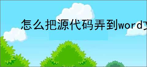 怎么把源代码弄到word文档上