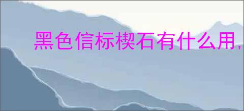 黑色信标楔石有什么用,黑色信标楔石作用一览