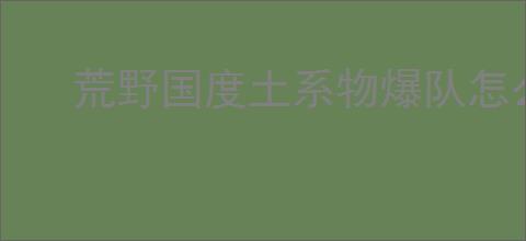 荒野国度土系物爆队怎么玩,荒野国度土系物爆队阵容搭配