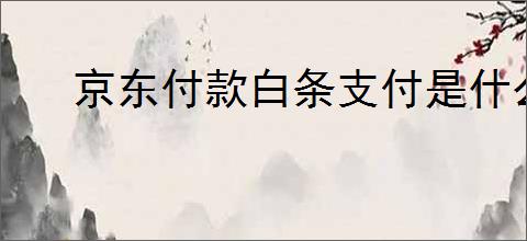 京东付款白条支付是什么？如何正确使用京东白条进行购物？