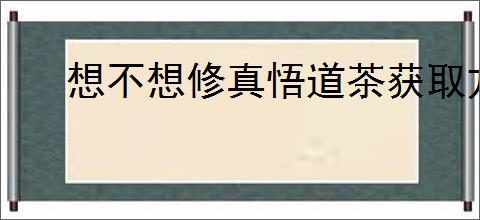 想不想修真悟道茶获取方法