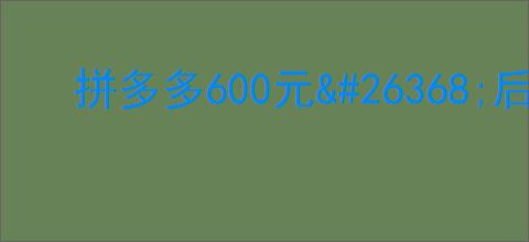 拼多多600元
                </div>

                <div class=