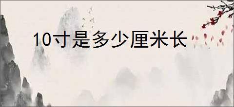 10寸是多少厘米长