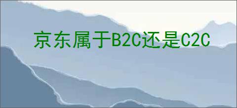 京东属于B2C还是C2C