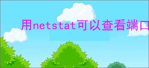 用netstat可以查看端口信息