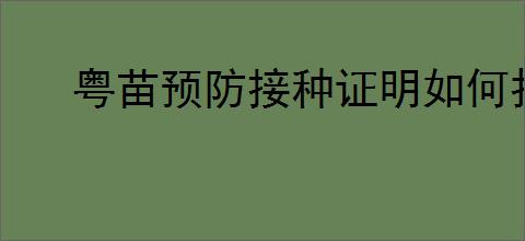 粤苗预防接种证明如何打印