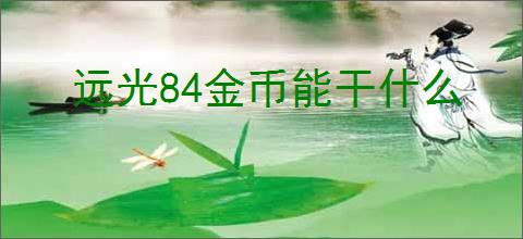 远光84金币能干什么
