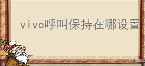 vivo呼叫保持在哪设置